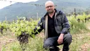 AOC Terrasses du Larzac : 10 ans d'exigence et de réussite viticole