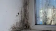 Appartement rendu insalubre : 17 000 € de travaux après 3 ans de location