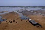Asie : un super El Niño menace réseaux électriques et récoltes