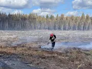 Assemblée générale d'Alliance forêts bois en Gironde le 21 mai