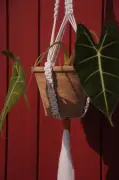 Atelier macramé à la médiathèque : créez votre suspension pour plante