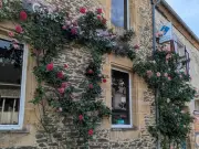 Au pays de la pomme, les rosiers sont rois : la municipalité fleurit le bourg