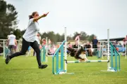 Avensan : 350 binômes maître-chien en finale nationale d'Agility