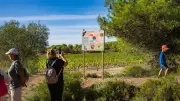 Balade guidée au cœur des vignobles avec la LPO à Montagnac