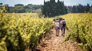 Balade œnotouristique dans les Terres Rouges le 30 mai