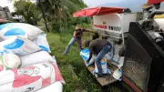 Blocage d'Ormuz : l'ONU alerte sur une crise alimentaire mondiale