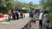 Bourse aux plantes à l'Arboretum de Lunel : le partage fleurit