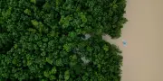 Brésil : déforestation au plus bas depuis 2019 malgré des menaces