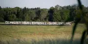 Camargue : ONG exigent l'abandon du projet de ligne THT