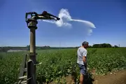 Canicule de mai : agriculteurs du Lot-et-Garonne en alerte