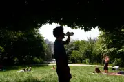 Canicule précoce : 18 départements en vigilance jaune, dont Paris