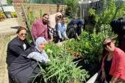 À Cannes, les jardins partagés créent du lien social au quartier de la Frayère