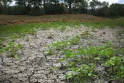 Catastrophe naturelle : 9 communes de Gironde reconnues