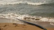 Câbles sous-marins : une cible stratégique aux conséquences mondiales