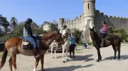 Championnat régional de Trec à L'Écurie du Sud à Magalas