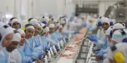 À Chapecó, des ouvriers d'abattoirs sous pression : « Les entreprises voudraient qu'on soit des robots »