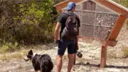 Charte du promeneur en forêt : règles et obligations à connaître