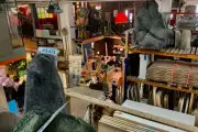 Cinéma durable : la Ressourcerie du Cinéma donne une seconde vie aux décors