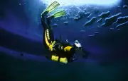 Cinq plongeurs italiens meurent aux Maldives dans l'exploration de grottes
