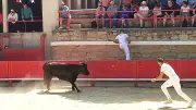 Club Taurin beaucairois : deux événements camarguais en mai