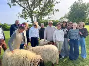 Éco-pâturage au collège : des moutons pour entretenir les espaces verts