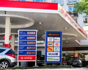 Économie française à l'arrêt : choc pétrolier et fiscalité dévastatrice