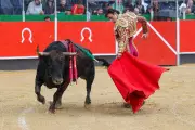 Corrida à La Brède : la justice suspend le spectacle taurin pour 2026