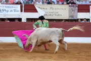 Corrida à Vic-Fezensac : toros Prieto de la Cal, toreros méritants