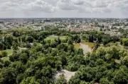 Course aux étoiles à Bordeaux : marche solidaire contre le cancer du cerveau