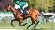 Daryz vise un nouveau Groupe I à ParisLongchamp ce jeudi