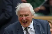 David Attenborough fête ses 100 ans : le conteur de la nature icône mondiale