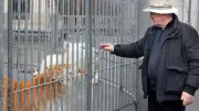 Décès du dompteur Mario Masson, condamné pour maltraitance sur ses tigres