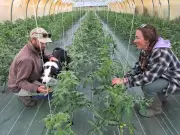 De la couveuse à l'installation : Enzo et Roxanne créent leur ferme bio à Saubion