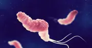 Des chatbots IA capables de concevoir des armes biologiques, selon des experts