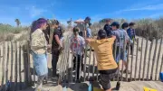 Des écoliers du Grau-du-Roi plantent des oyats pour protéger les dunes