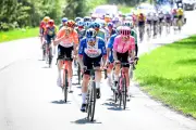 Des cyclistes malades après une course en Belgique : des bouses de vaches en cause