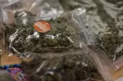 Deux Allemands condamnés pour trafic de 94 kg de cannabis