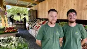Deux entrepreneurs lancent Potager Dadam pour une vente directe