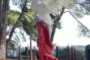 Disparition des statues de Patrick Montalto à La Londe-les-Maures