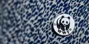 Démission de la présidente du WWF : les Juifs français au cœur d'une crise interne