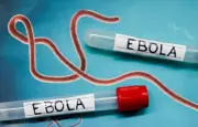 Ebola : les États-Unis renforcent les contrôles sanitaires aux frontières