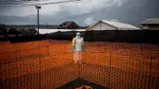 Ebola : où en est-on par rapport aux précédentes épidémies ?