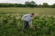 En Bretagne, l'agriculture au service des tourbières et vice versa