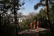 Escapades locales à Bordeaux : 12 visites guidées pour redécouvrir la métropole