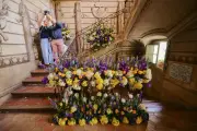 ExpoRose à Grasse : dernière journée pour découvrir la féérie florale ce dimanche