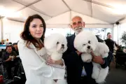 Exposition canine de Monaco : 100 ans de prestige et d'héritage familial