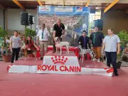 Exposition canine internationale à Villeneuve-sur-Lot : le griffon khortal à l'honneur