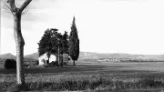 Exposition photo 