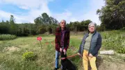 Extension de parking à Mourèze : riverains inquiets pour la biodiversité