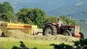 Fenaison dans l'Aveyron : retour aux petites bottes de foin